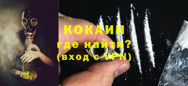 прущие грибы Вязьма
