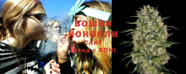 метадон Вяземский