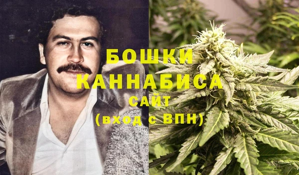прущие грибы Вязьма