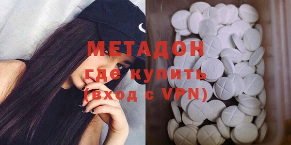 прущие грибы Вязьма