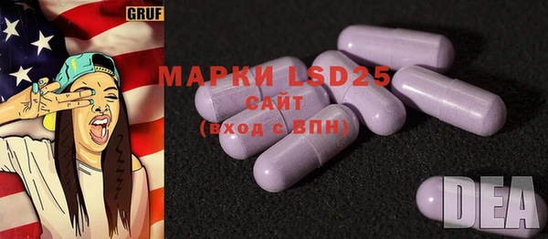 прущие грибы Вязьма