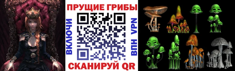 Галлюциногенные грибы Cubensis что такое Ветлуга